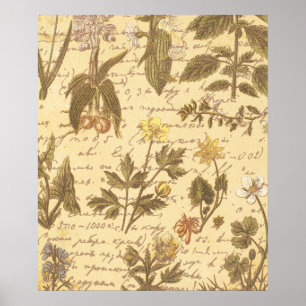 Póster Patrón floral botánico vintage