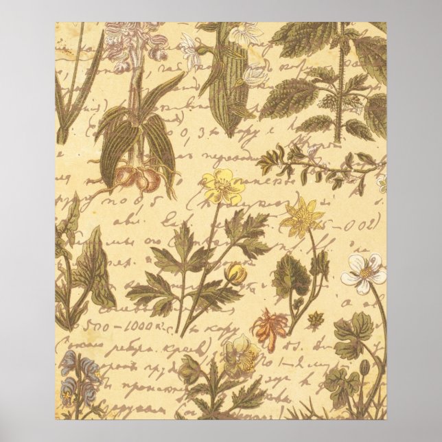 Póster Patrón floral botánico vintage (Frente)
