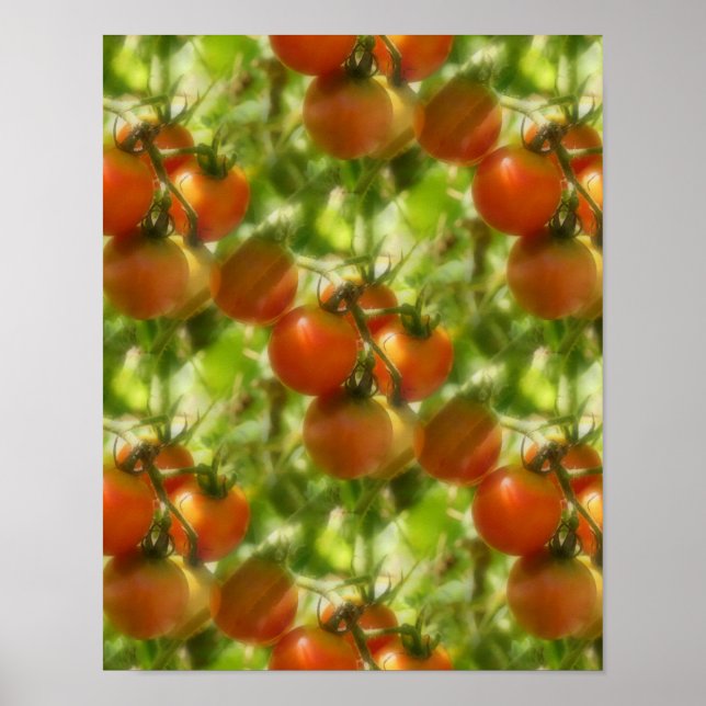 Póster Patrón natural de los tomates de cerezo (Frente)