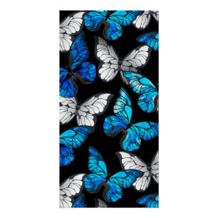 Póster Patrón oscuro sin costuras con mariposas azules Mo