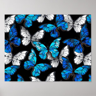 Póster Patrón oscuro sin costuras con mariposas azules Mo