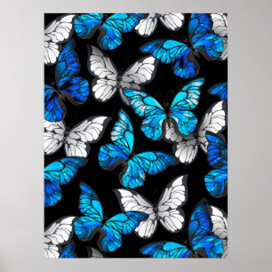 Póster Patrón oscuro sin foco con mariposas azules morfo