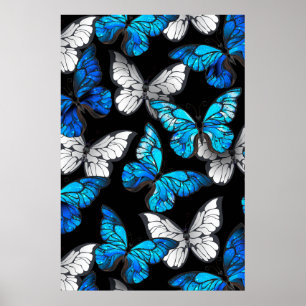Póster Patrón oscuro sin foco con mariposas azules morfo