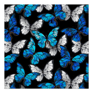 Póster Patrón oscuro sin foco con mariposas azules morfo
