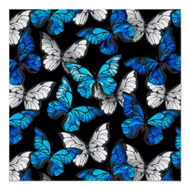 Póster Patrón oscuro sin foco con mariposas azules morfo (Anverso)