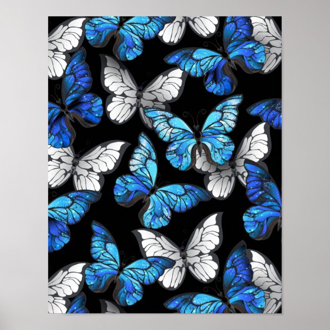 Póster Patrón oscuro sin foco con mariposas azules morfo (Frente)