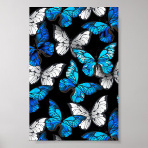 Póster Patrón oscuro sin foco con mariposas azules morfo