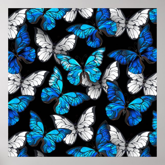 Póster Patrón oscuro sin foco con mariposas azules morfo (Frente)