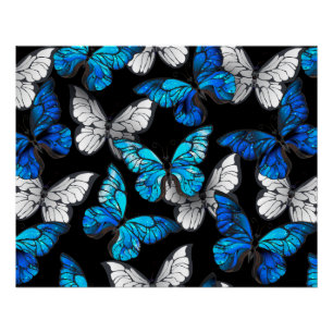 Póster Patrón oscuro sin foco con mariposas azules morfo