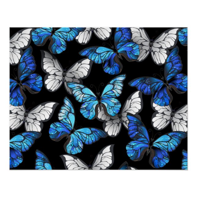Póster Patrón oscuro sin foco con mariposas azules morfo (Anverso)