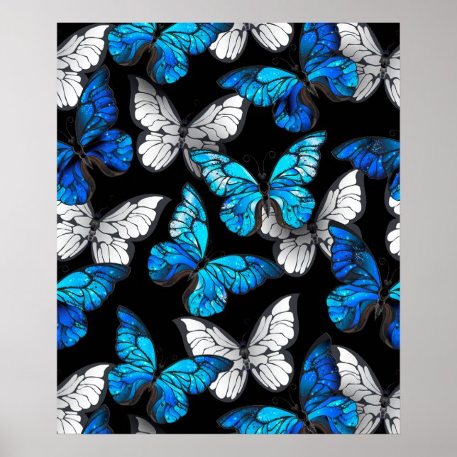 Póster Patrón oscuro sin foco con mariposas azules morfo (Frente)
