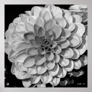 Póster Patrón Petal