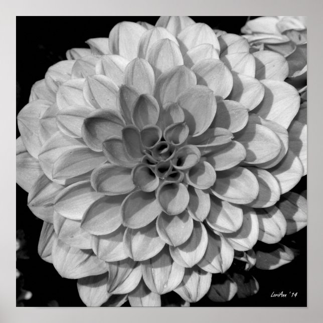 Póster Patrón Petal (Frente)