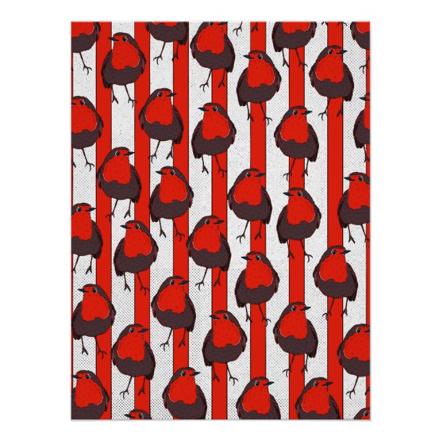 Póster Patrón Robin (Anverso)