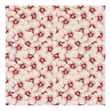 Patrón sin soldadura de flores de Hibiscus