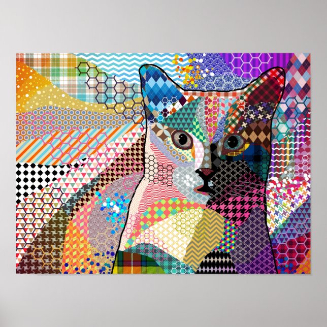 Póster Patrones de gato 676 multicolor (Frente)