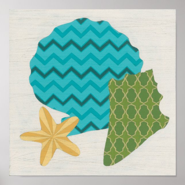 Póster Patrones de shell II (Frente)