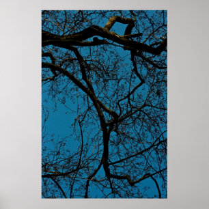 Póster Patrones en el cielo