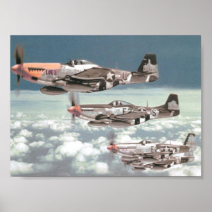 Póster Patrulla del mustango