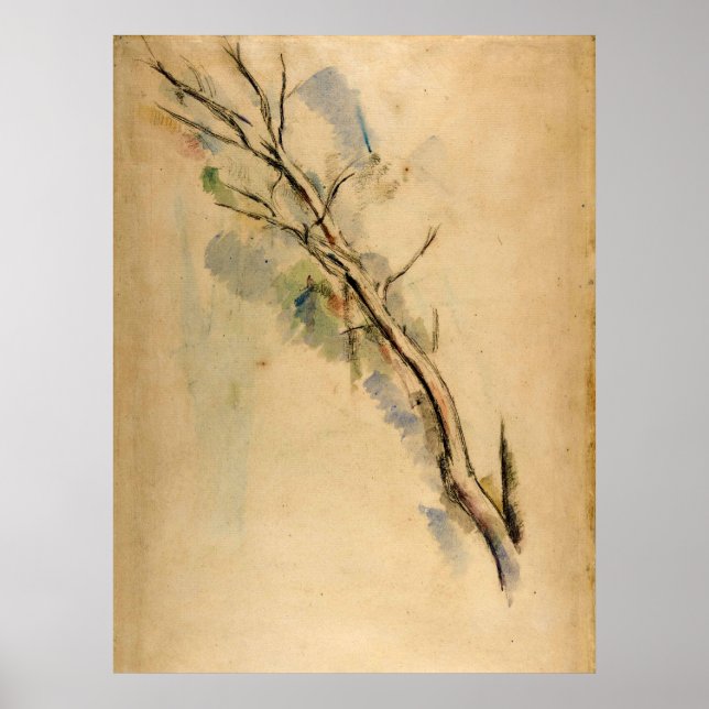 Póster Paul Cezanne Studies of a Tree (Frente)