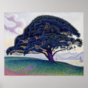 Póster Paul Signac - El Pino Bonaventure
