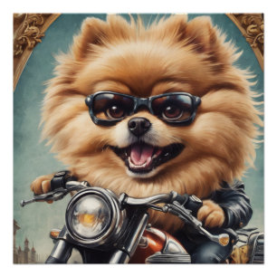 Póster Paulie Pomeranian
