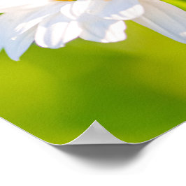 Póster Pausa de la Hora Dorada