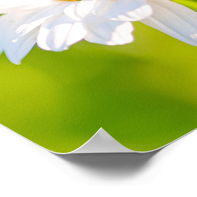 Póster Pausa de la Hora Dorada (Esquina)