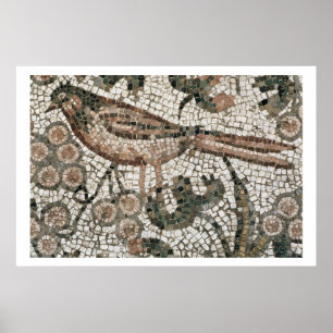 Póster Pavimento del suelo que representa a un pájaro, si