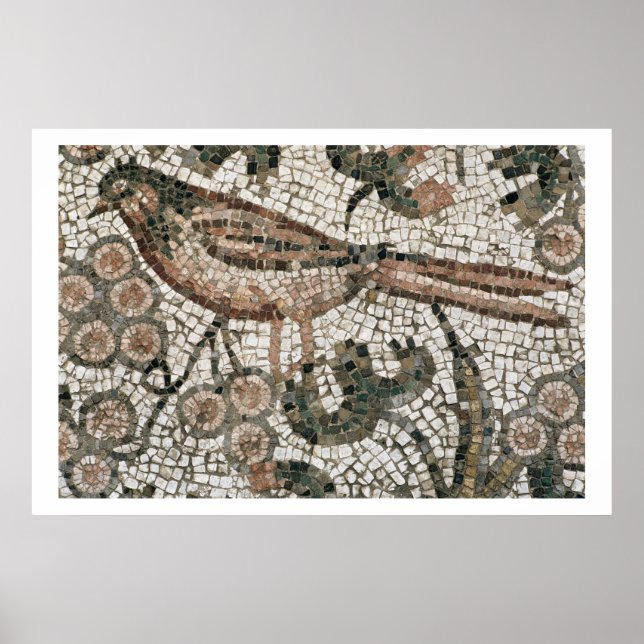 Póster Pavimento del suelo que representa a un pájaro, si (Frente)