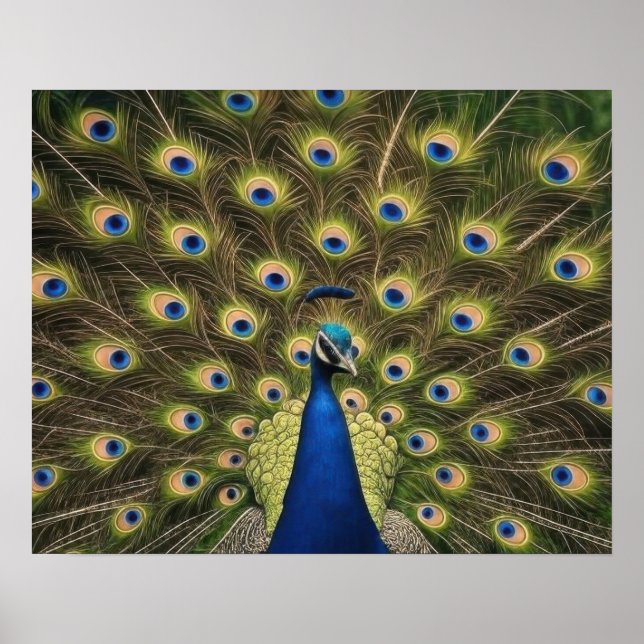 Póster Pavo Azul (Frente)