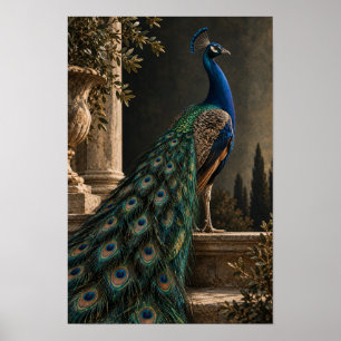 Póster Pavo Real Azul con Cola Irisada en Gar clásico