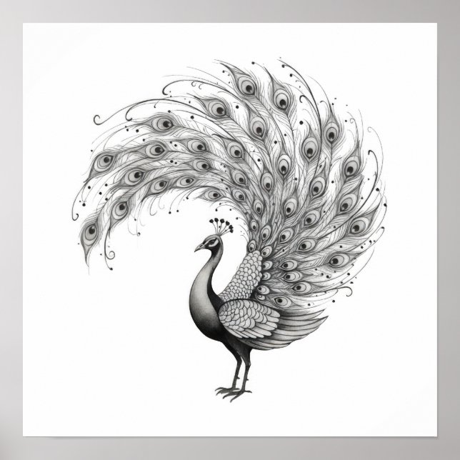 Póster Pavo real blanco y negro (Frente)