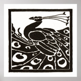 PÓSTER PAVO REAL BLANCO Y NEGRO