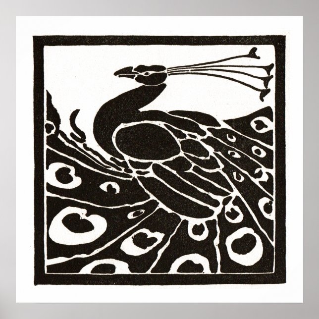 PÓSTER PAVO REAL BLANCO Y NEGRO (Frente)