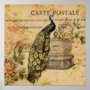 Póster pavo real botánico francés del vintage del nouve