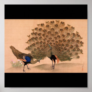 Póster Pavo real de pintura japonés 1781 de la C.
