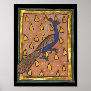 Póster Pavo real del bestiario medieval c. 1270