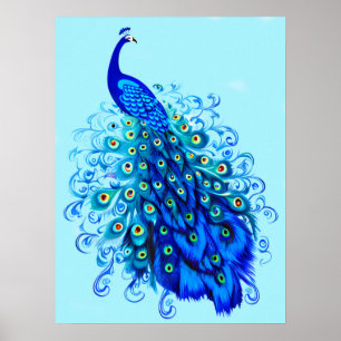 Póster Pavo real en azul turquesa y cobalto