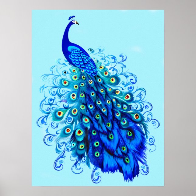 Póster Pavo real en azul turquesa y cobalto (Frente)