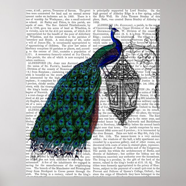 Póster Pavo Real En La Lámpara (Frente)