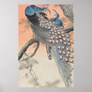 Póster Pavo Real Japonés en Rama de Árbol