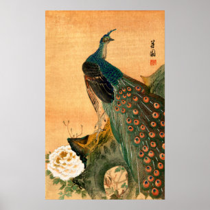 Póster Pavo real japonés no.2