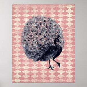 Póster Pavo Real Vintage en Argyle Rosa