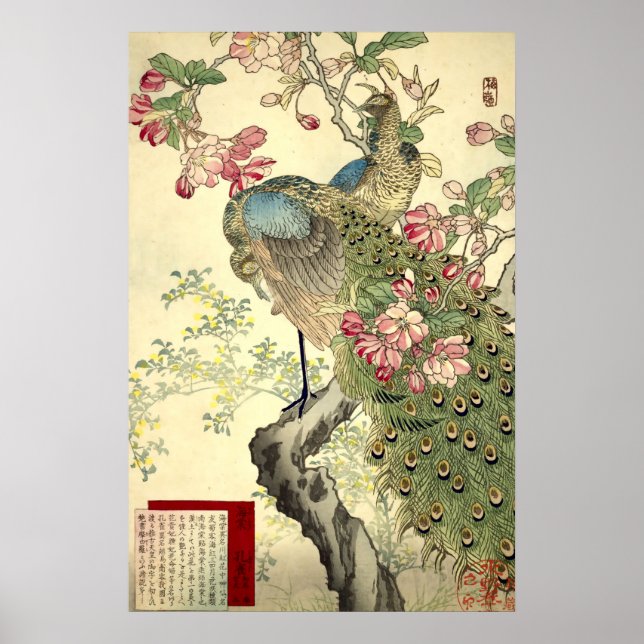 Póster Pavos & Manzano Vintage Japonés (Frente)