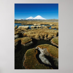 Póster Payachalas Volcanos