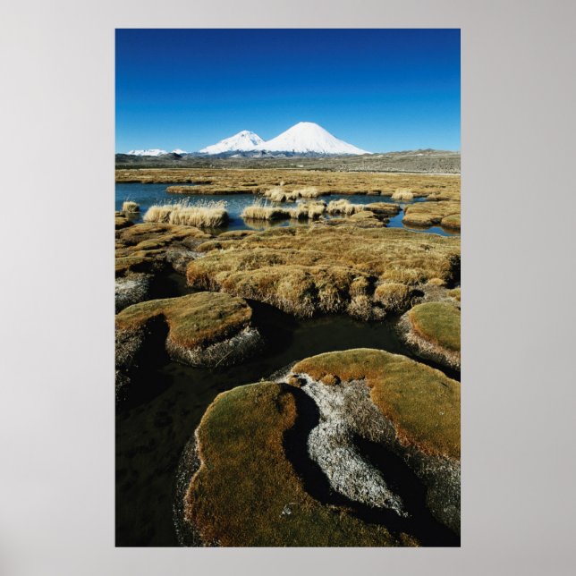 Póster Payachalas Volcanos (Frente)