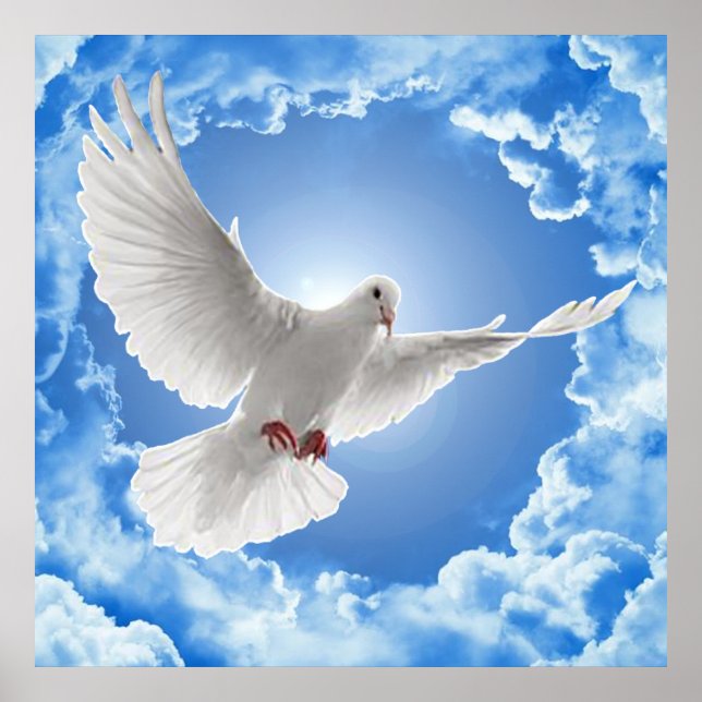 Póster Paz (Frente)