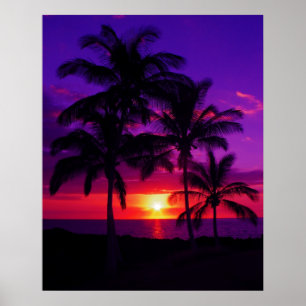 Póster Paz