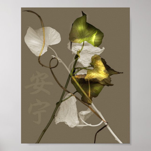 Póster Paz (Frente)